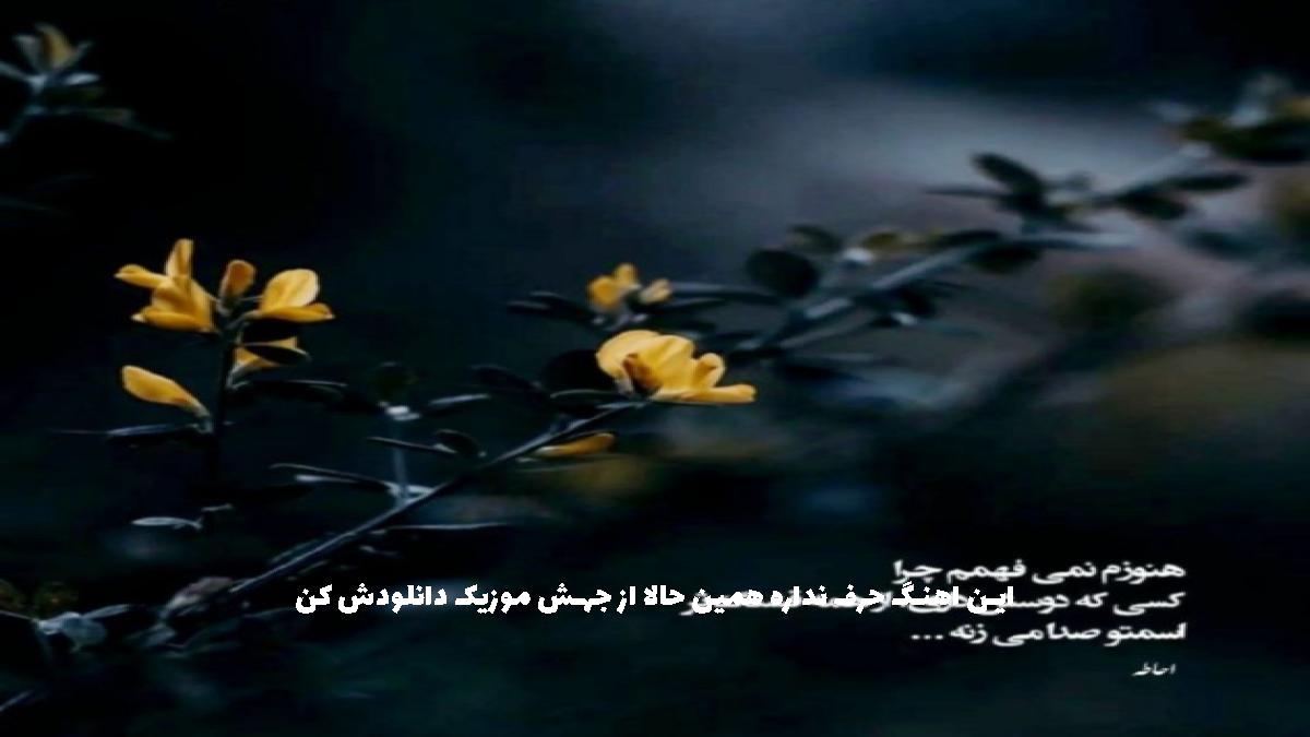 دانلود آهنگ نام نازنین ناز نکن درو رو کسی باز نکن دوست داری باز واسم ناز کنی نه از 